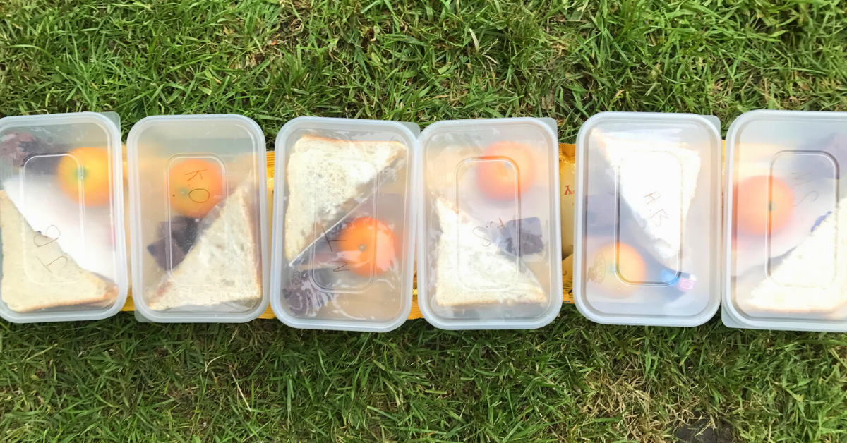 To-go lunches lined up on grass on the ground student meals during cornoavirus outbreak